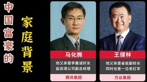 中国各大富豪家庭背景,出身背景与财富传奇