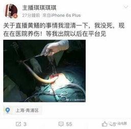 黄鳝女主播是什么,揭秘网络直播界的道德困境