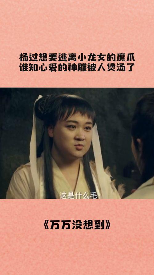 杨过搞笑视频,笑料百出，欢乐无限